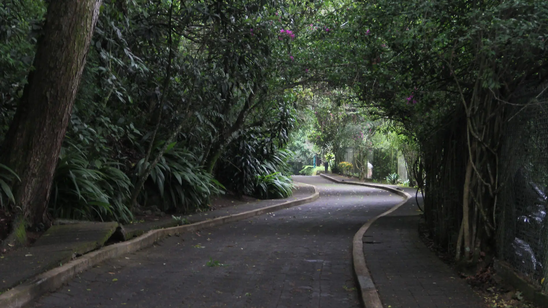 Cerro Macuiltepetl